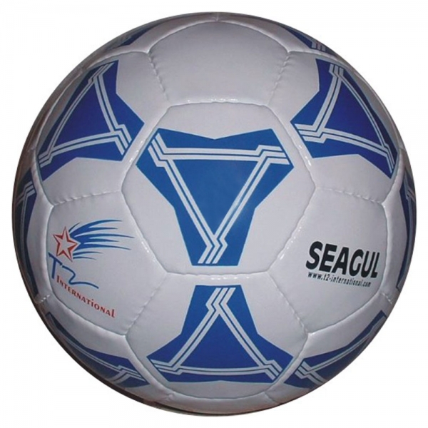 Futsal Ball