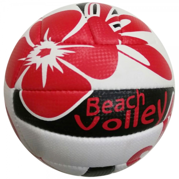 Volley Ball