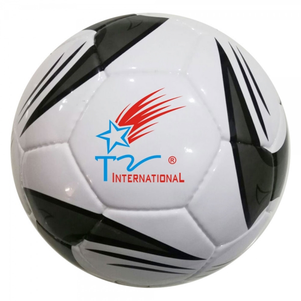 Professional Match Ball